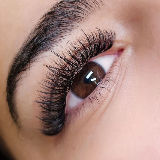 In Person Lash Extension Refresher Course at Own It Beauty Bar