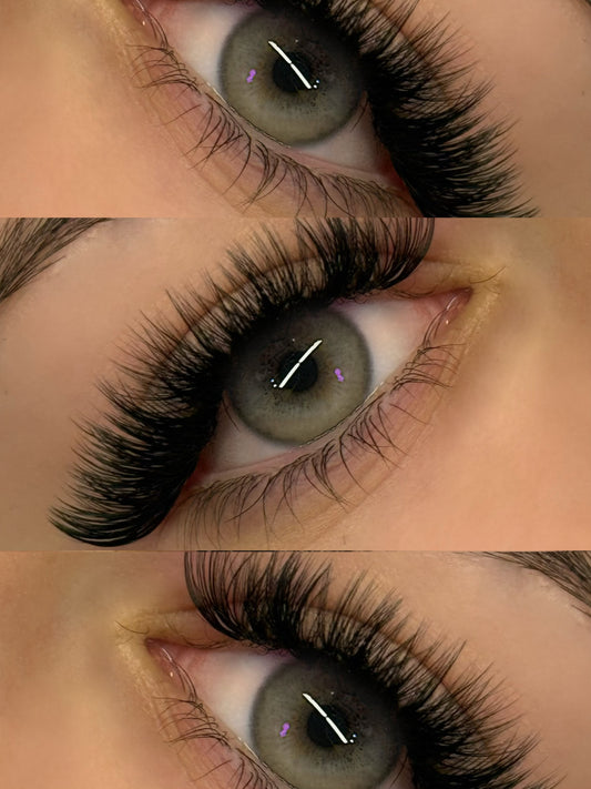 In Person Lash Extension and Brow Lamination & Tint Training Bundle